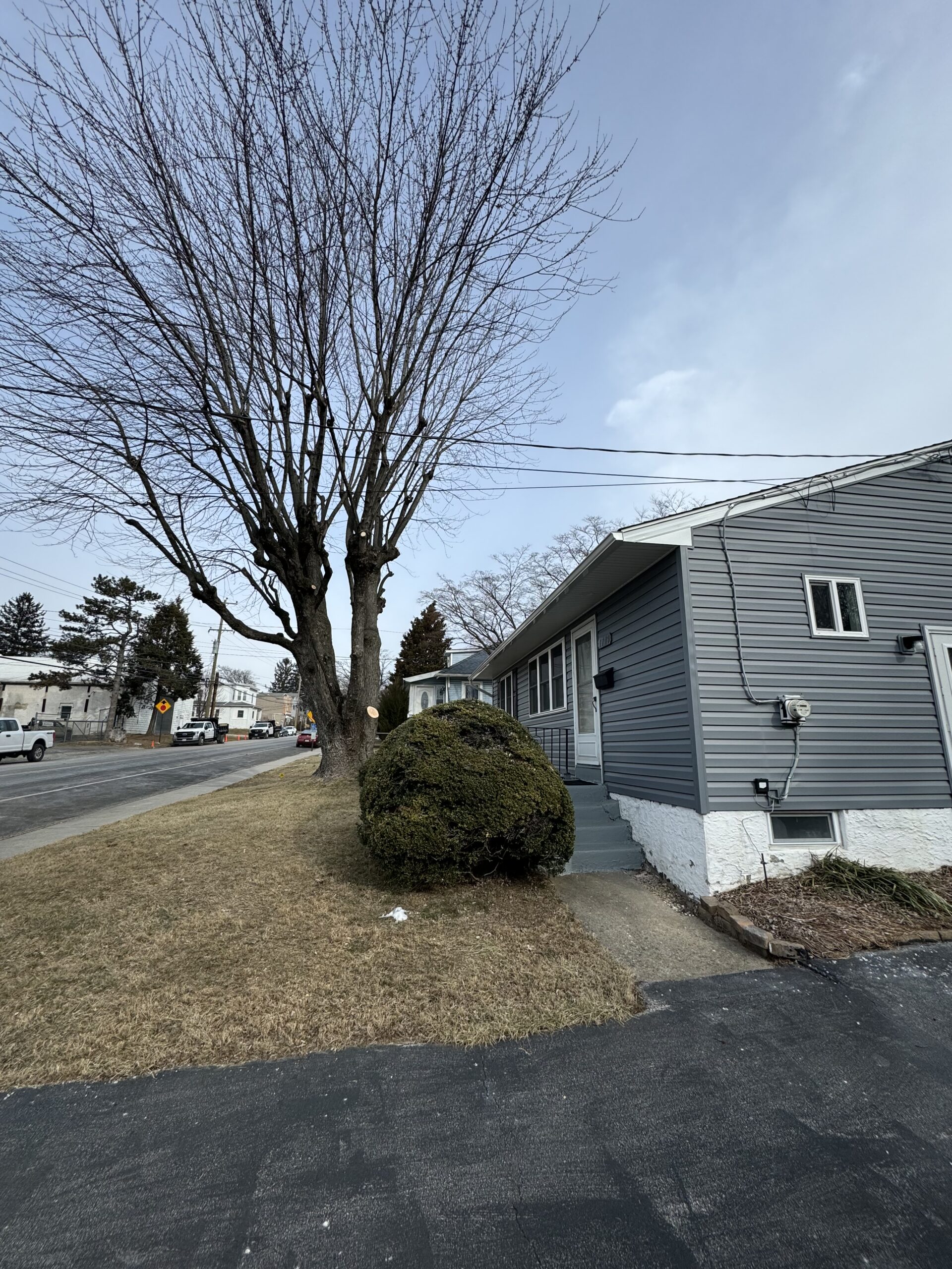 Tree service near residence