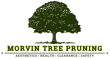 Morvin Tree Pruning